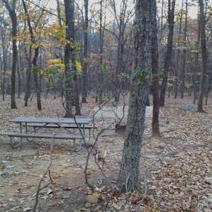 Pilot Mountain Campground
