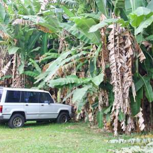 Plenty of parking for your rental cars