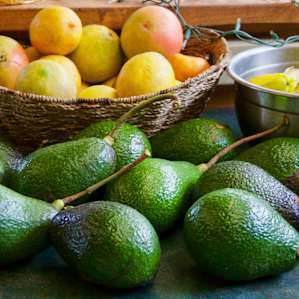 food fruits