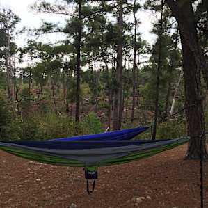 Bastrop Campground