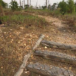 Bastrop Campground