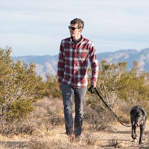 Leashed dogs are allowed on the property.