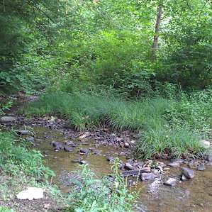 Yellow Creek Park Campground