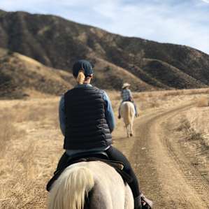 Bar SZ Ranch - It's An Experience
