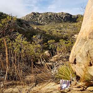 Wishy at the base of Lion King Rock
