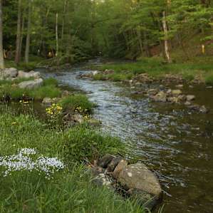 Beautiful trout stream runs right through the middle of the campground and empties into the Clarion River.