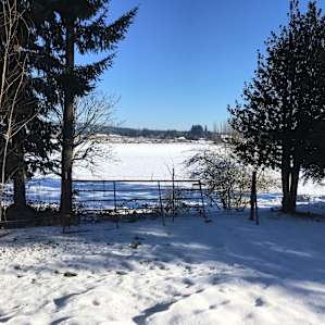 Croakers Crossing Farm