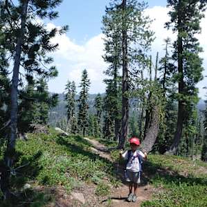 Harkness trail is just in the middle of the campground.