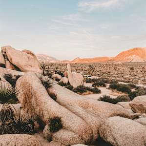 The thumbs up rock can be seen from a higher level behind the camsites!