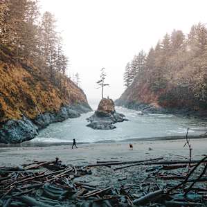 Cape Disappointment