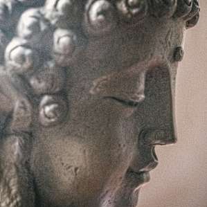 "The mind is everything. What you think you become." –Buddha
