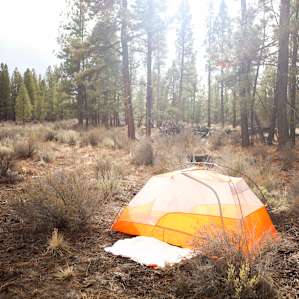 Perfect property for a large group with a lot of tent sites