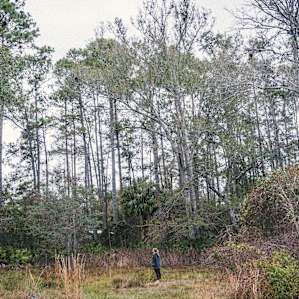 Survival training area #1