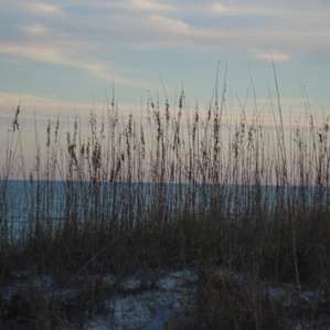 Sugar Hill Campground