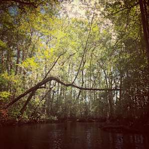 Aiken Campground