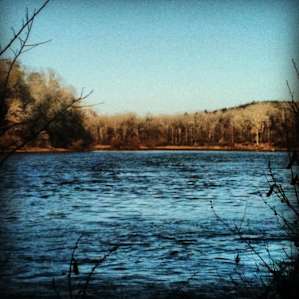 Torreya Campground