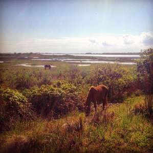 Oceanside Walk-in Campground