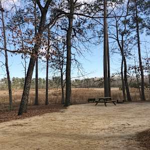 Little Pee Dee Campground