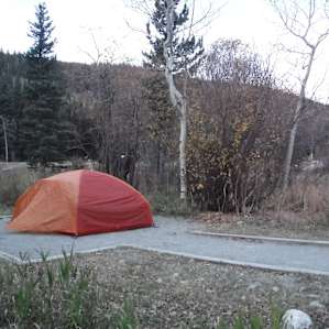 You may have visitors in the morning, in this case a bull, cow and calf moose.