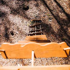 Another treehouse effect.