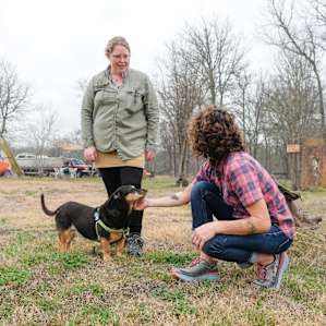 Meeting our host, Lolly, and her pups!