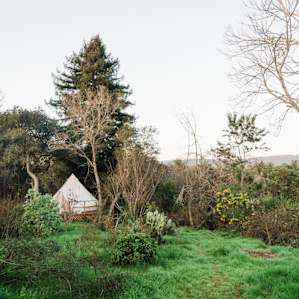 forest lodging canvas tent