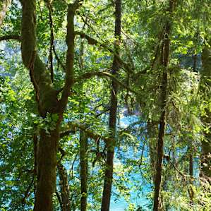 Notice the hammock by the lake? That is one of the walk-in sites!