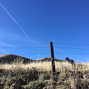 Walk through the hills with our guide