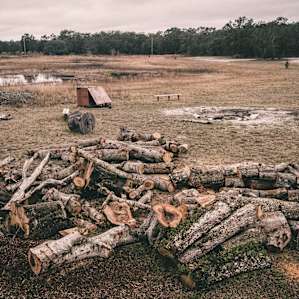 Firewood available