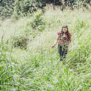 Exploring the property
