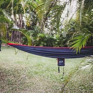 Perfect trees for hanging a hammock!
