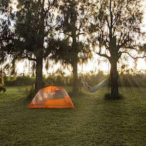 Picked this spot for some shade but there is plenty of room for many tents