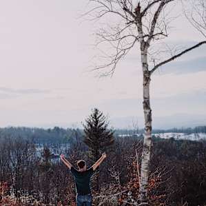 forest winter