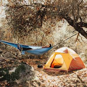 tent forest people