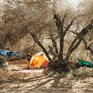 tent forest people