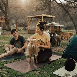 farm animal yoga