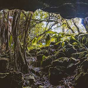 George has a lava tube running through his property, this is from the inside looking out. You can hike through the tube during your stay