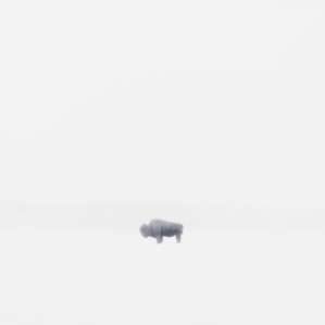 We saw some wildlife