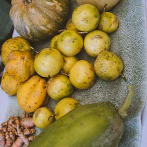 Fruit that Julie had collected in the kitchen
