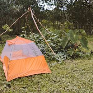 The second place I really loved was near her garden, beneath her bean pole teepee