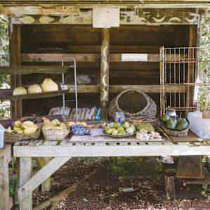 Fruit stand at the front of the property