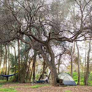 Tent camping. There's a large area under an oak that you can pitch your tent wherever you like!