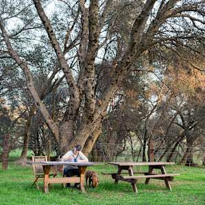 Nice hangout, meal area under another great oak tree