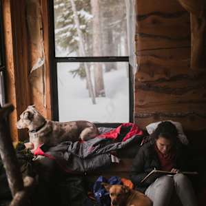 cabin people dog