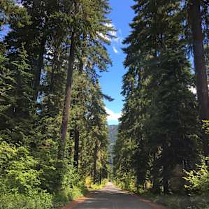 Kachess Campground