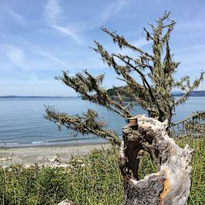 Cranberry Lake Campground