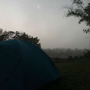 Early morning quiet.