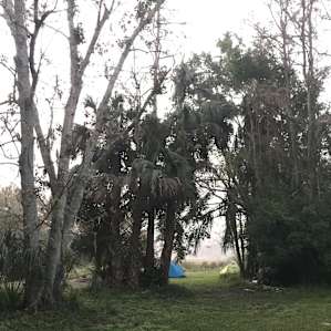 Secluded campsite.