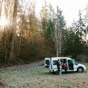 forest people sun