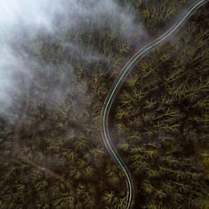 Foggy North Carolina mornings.
